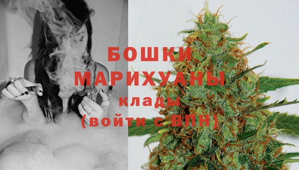 дурь Гусь-Хрустальный