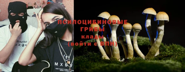 не бодяженный Гусиноозёрск