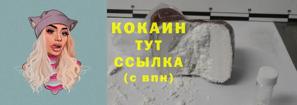 ешки Гусев