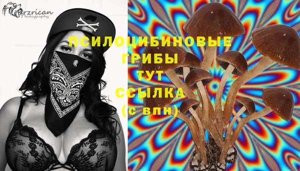 дурь Гусь-Хрустальный