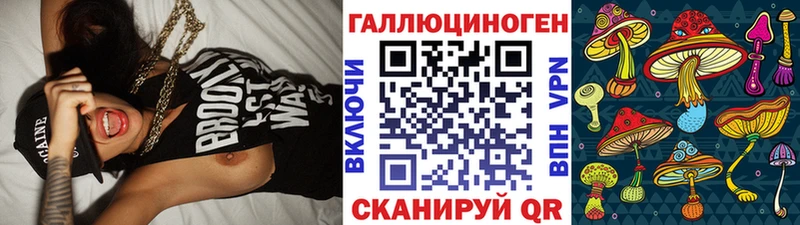 Купить  Миллерово  Галлюциногенные грибы мицелий 
